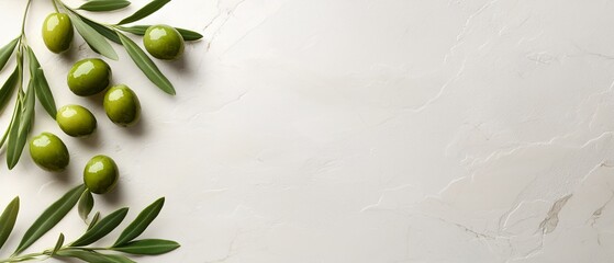 Wall Mural - green olives on a branch with leaves on a white background