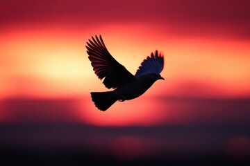 Aufkleber - A bird soars through the sky as the sun sets behind it