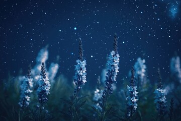Aufkleber - Purple flowers bloom under the stars, great for night or evening scenes