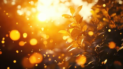Poster - A warm and inviting scene with sunlight shining through the leaves of a tree
