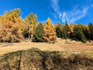 Sticker - autumn in the mountains