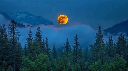 Wall Mural - a large moon is shining brightly in the sky above a forest