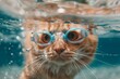 © Adobe Contributor - A ginger cat wearing blue goggles swims underwater