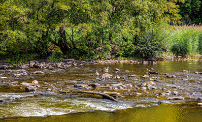 view of the river with rapids and wild birds.