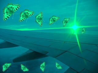 Poster - Butterflies in flight, cloudy sky with rising sun and rays over airplane wing and horizon of sky with earth during flight - photomontage, abstract composition in green color.