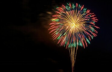 Poster - Colorful fireworks display illuminating the night sky during a celebration