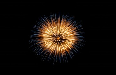 Poster - Bright golden fireworks exploding against black background
