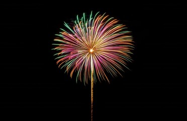 Poster - Colorful fireworks exploding against black background at night