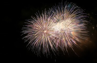 Poster - Fireworks display illuminating night sky with vibrant spectacle
