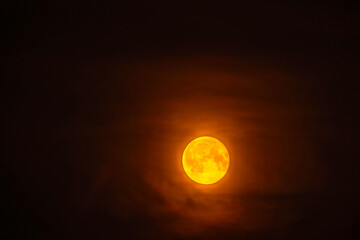 Wall Mural - Bright full moon glowing orange against dark night sky, creating dramatic and mysterious atmosphere.