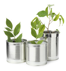 Wall Mural - Recycling concept. Cans with plants isolated on white