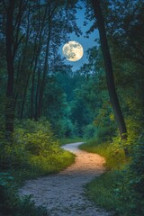 a winding forest pathway illuminated by the bright full moon during a serene night