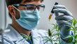 © Sergey - Portrait of scientist with mask and gloves checking and analizing with a dropplet a biological and ecological hemp plant used for herbal pharmaceutical cbd oil in a laboratory isolated with white hi
