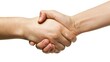 © 田利 田 - Symbol of Success: Successful Cooperation Handshake Pictures