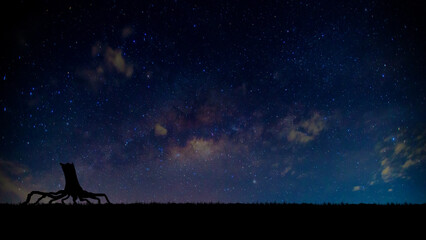 Wall Mural - amazing panorama blue night sky milky way and star on dark background.universe filled with stars, ne