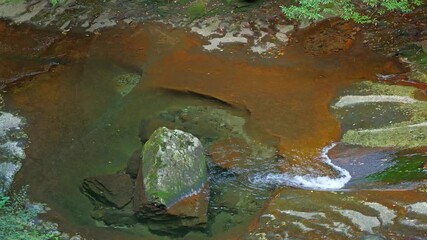 Wall Mural - mysterious forest with river flowing over rocks