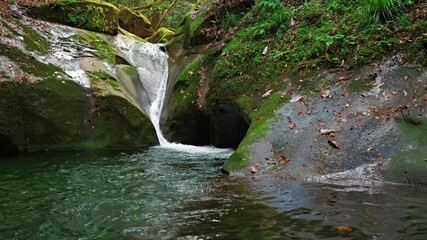 Wall Mural - Small waterfall flowing in rainforest