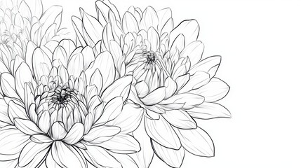 Poster - Detailed line art of a blooming flower bouquet, each petal intricately drawn, against a white background