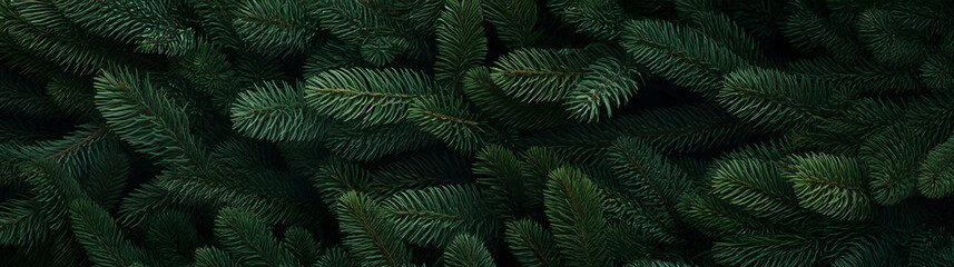 Wall Mural - fir branches green needle abstract background christmas texture. horizontal composition, banner.