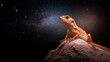 © svastix - A lizard poses majestically on a rocky surface with a starlit sky backdrop, capturing the grandeur of earthly presence amidst a vast and luminous universe.