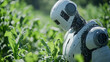 © Sawyer0 - Autonomiczny robot z zaawansowanymi czujnikami i sztuczną inteligencją pracuje na polu rolnym, symbolizując integrację nowoczesnych technologii w rolnictwie.