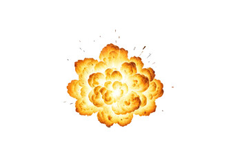Wall Mural - Fire explosion on a isolated background