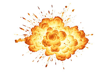 Wall Mural - Fire explosion on a isolated background