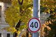 © Ana - A street sign with a red circle and white number 40 on it. The sign is on a pole next to a tree.
