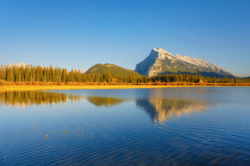 Wall Mural - vermilion lakes. landscape during daylight hours. a lake in a river valley. grass in the water. fall