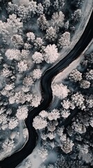 Poster - A snowy road with trees in the background