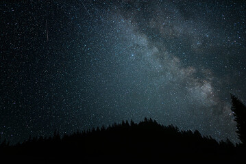 Wall Mural - starry sky. night scape with beautiful starry sky
