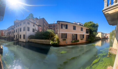 Wall Mural - vecchi palazzi sul canale a treviso, italia