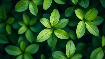 Wall Mural - Vibrant Green Leaves Background