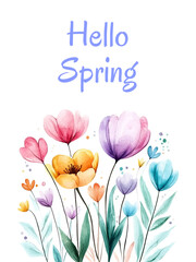 Fototapete - Hello spring, watercolor bouquet of flowers png. Cute watercolor flowers with paint splashes on a transparent background in boho style. Spring flowers watercolor, vector illustration.