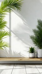 Wall Mural - palm trees cast shadows on a white wall and wooden shelf