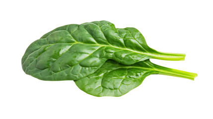 Poster - Fresh spinach leaves isolated on white background, showcasing their vibrant green color and natural texture. Perfect for healthy recipes and nutritious meals