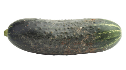 Poster - fresh cucumber with dark green, textured skin is isolated on white background, showcasing its natural appearance