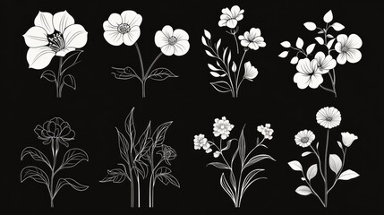 Poster - Stunning abstract 2D cartoon flowers in black and white silhouettes perfect for tattoos textiles invitations and promotional materials