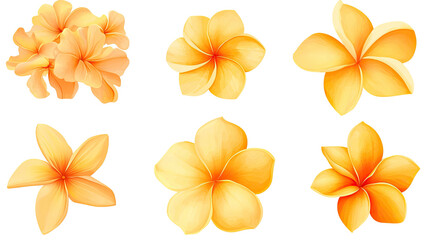 Poster - plumeria flower blossoms on transparent background generative ai
