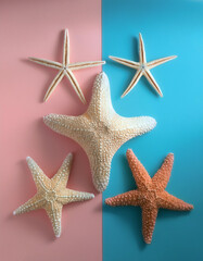 Wall Mural - Beautiful sea stars or starfish, isolated on a soft blue and Pink Pastel