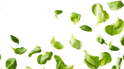 Poster - Falling lettuce salad leaves isolated on white background hyperrealistic png