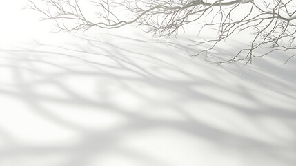 Aufkleber - Realistic tree branch shadows overlay on white background 3d render