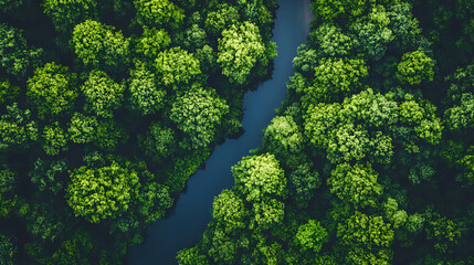 Poster - A lush forest with a clear river, symbolizing sustainability analytics and nature impact monitoring, Perfect for illustrating environmental supply chain control and eco-friendly practices