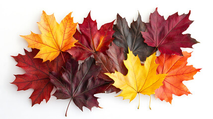 Aufkleber - Autumn background with colored maple leaves framed, isolated on a white background