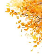 Aufkleber - Autumn leaves in the air, white background, copy space concept, wide banner with autumn tree branch with yellow and orange leaves, banner design