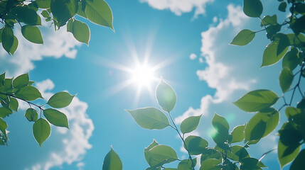 Poster - Blue sky, white clouds and green leaves, with sunlight shining through the leaves on the background The sun shines brightly in front of it, creating a bright scene