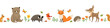 © fireflamenco - Vector seamless border of cute forest animals, butterflies, flowers and mushrooms. Set of woodland animal characters isolated on white background.
