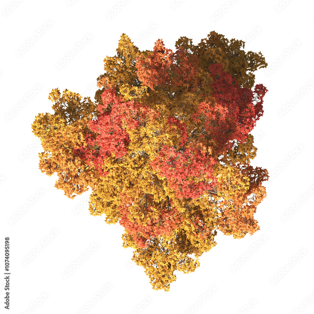 Autumn tree PNG. Autumn tree isolated on transparent background. single ...