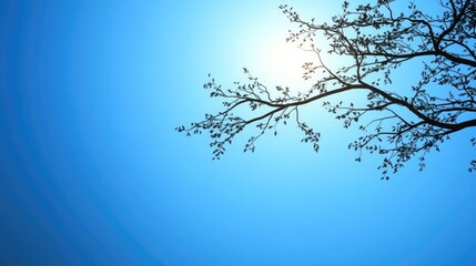 Poster - silhouette of a tree branch against a bright blue sky featuring ample negative space for text or des
