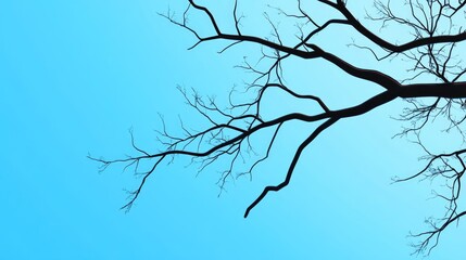 Poster - silhouette of a tree branch against a bright blue sky featuring ample negative space for text or des